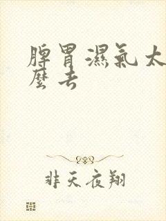 脾胃湿气太重怎么去