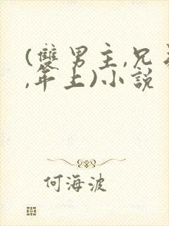 (双男主,兄弟,年上)小说