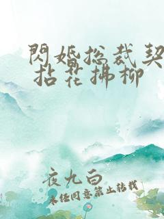 闪婚总裁契约妻 拈花拂柳