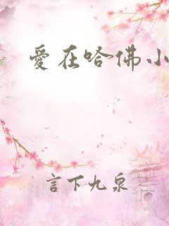 爱在哈佛小说