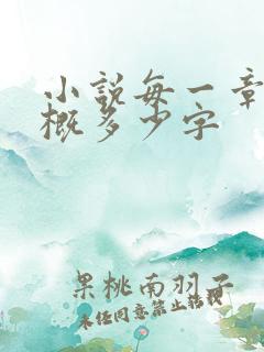 小说每一章节大概多少字