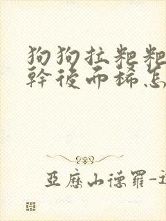 狗狗拉粑粑前面干后面稀怎么回事
