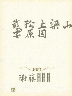 武松上梁山的主要原因
