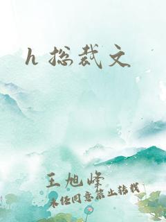 h 总裁文