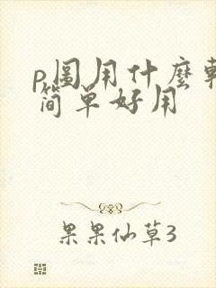p图用什么软件简单好用
