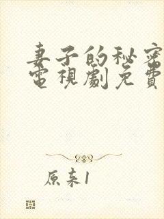 妻子的秘密韩剧电视剧免费观看