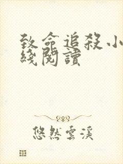 致命追杀小说在线阅读