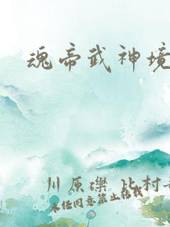 魂帝武神境界