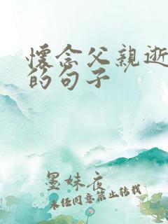 怀念父亲逝世后的句子