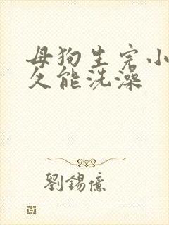 母狗生完小狗多久能洗澡
