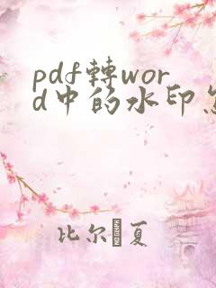 pdf转word中的水印怎么去除