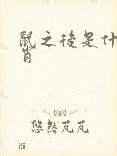 鼠之后是什么生肖