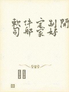 软件定制开发公司哪家好