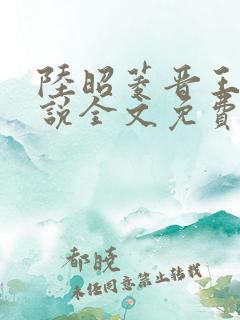 陆昭菱晋王的小说全文免费阅读