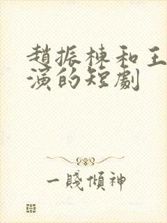 赵振栋和王小亿演的短剧