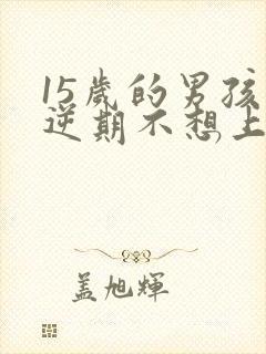 15岁的男孩叛逆期不想上学