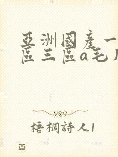 亚洲国产一区二区三区a毛片