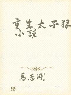 重生太子狠勾人 小说