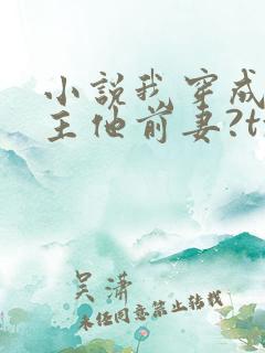 小说我穿成了男主他前妻?txt