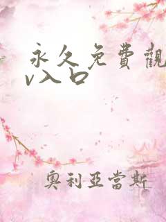 永久免费观看mv入口