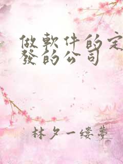 做软件的定制开发的公司