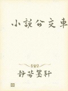 小说公交车h