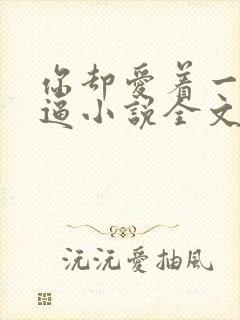 你却爱着一个傻逼小说全文