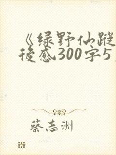 《绿野仙踪》读后感300字5篇