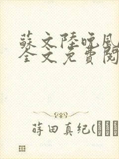 苏文陆晚风小说全文免费阅读笔趣阁