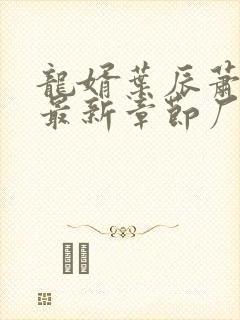 龙婿叶辰萧初然最新章节厂