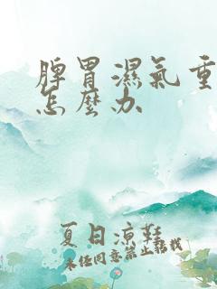 脾胃湿气重火大怎么办