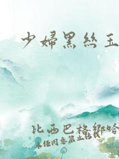 少妇黑丝玉足