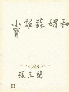 小说苏媚和赵大宝