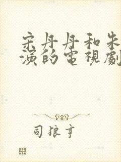 宋丹丹和朱媛媛演的电视剧叫什么名字