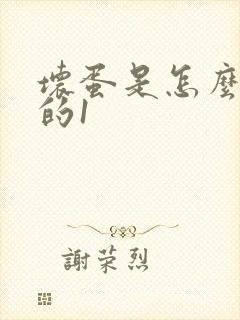 坏蛋是怎么炼成的1