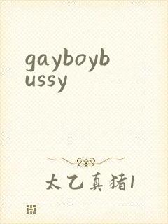 gayboybussy