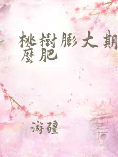 桃树膨大期施什么肥