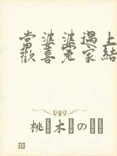 当婆婆遇上妈之欢喜冤家结局