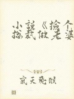 小说《捡个美女总裁做老婆》
