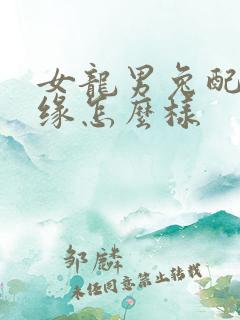 女龙男兔配的姻缘怎么样