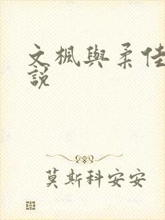文枫与柔佳的小说