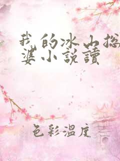 我的冰山总裁老婆小说读