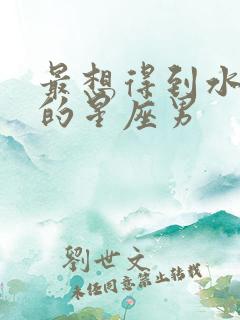 最想得到水瓶女的星座男