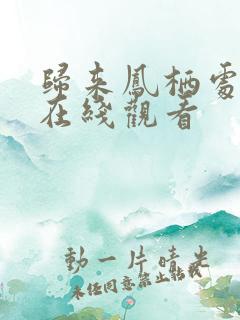 归来凤栖处短剧在线观看