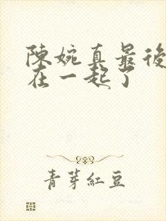 陈婉真最后和谁在一起了