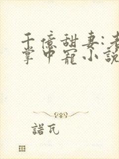 千亿甜妻:老公掌中宠小说