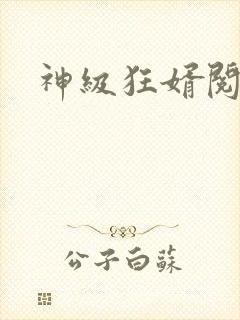 神级狂婿阅读