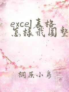 excel表格怎样截图整张表