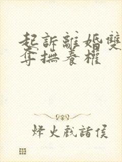起诉离婚双方争夺抚养权