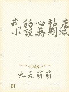我的心动老板娘小说无删减版